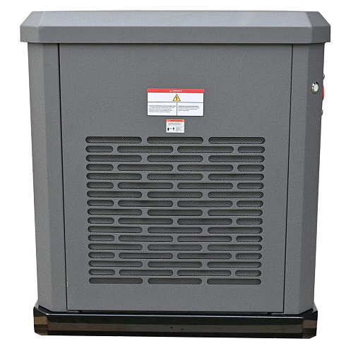 Генератор газовый EVOline GNG 13500 E