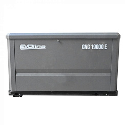 Генератор газовый EVOline GNG 19000 E в Тамбове